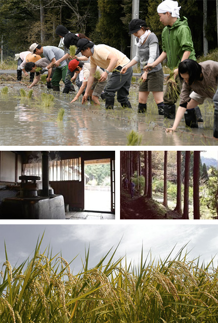 田植え・かまど・山の風景・垂れる稲穂