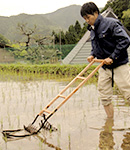 除草作業